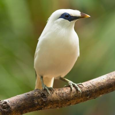 436c6375.jpg
