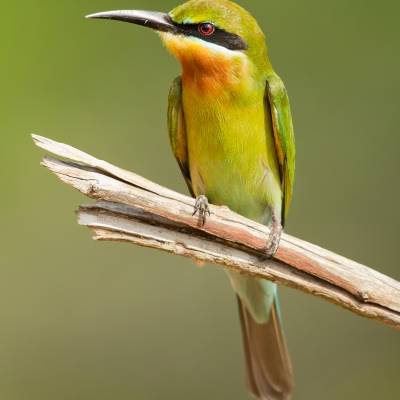 436C7616.jpg