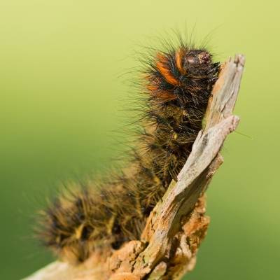 436C6291.jpg