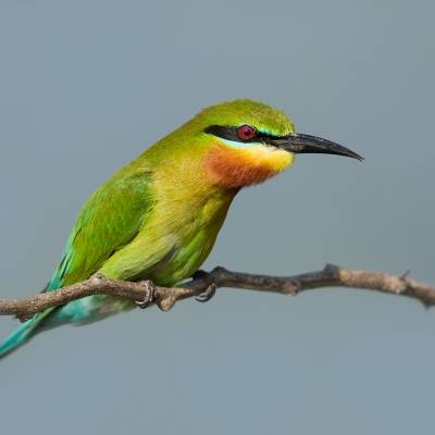 436c9861.jpg