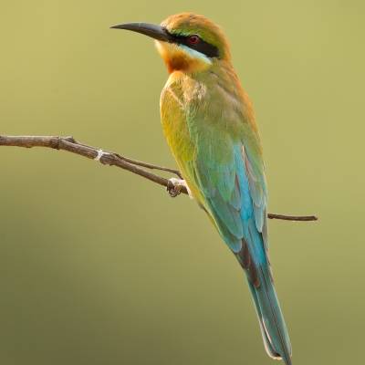436c9264.jpg