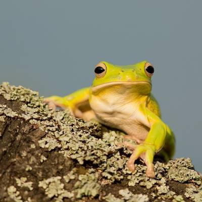 436c3741.jpg