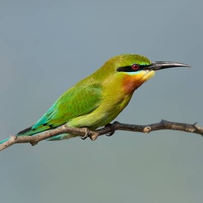 436c9864.jpg