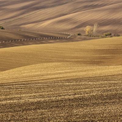 South Moravia