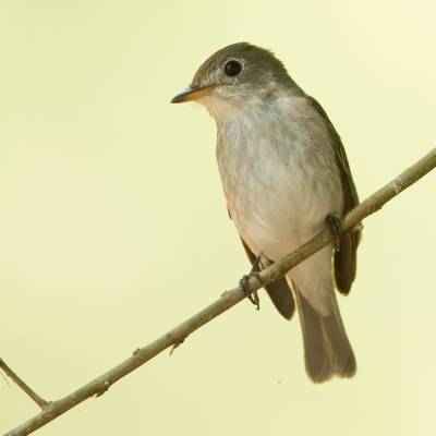 436c3267.jpg