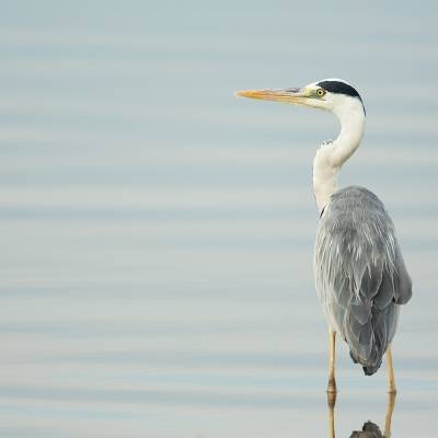 436c9131.jpg